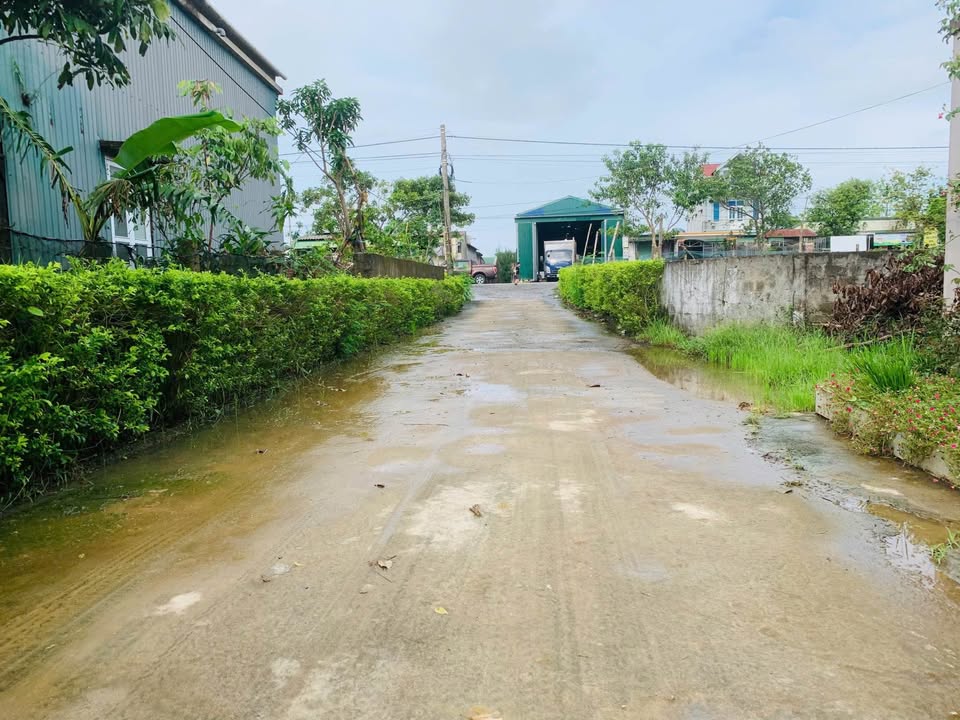 Đất nền Tân Lâm Hương 133.6m² giá 1 tỷ - Sổ đỏ chính chủ, cơ hội đầu tư tuyệt vời!