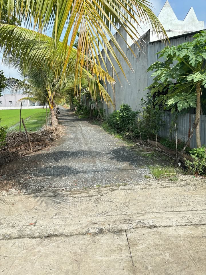 Đất nền xã Hựu Thạnh, huyện Đức Hòa, Long An 180m² giá 1.3 tỷ - Đầu tư sinh lời ngay!