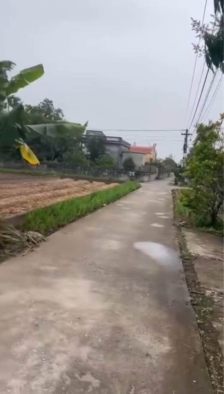 Đất thổ cư chính chủ tại Nam Cường, Tiền Hải, Thái Bình - Giá chỉ 6xx triệu