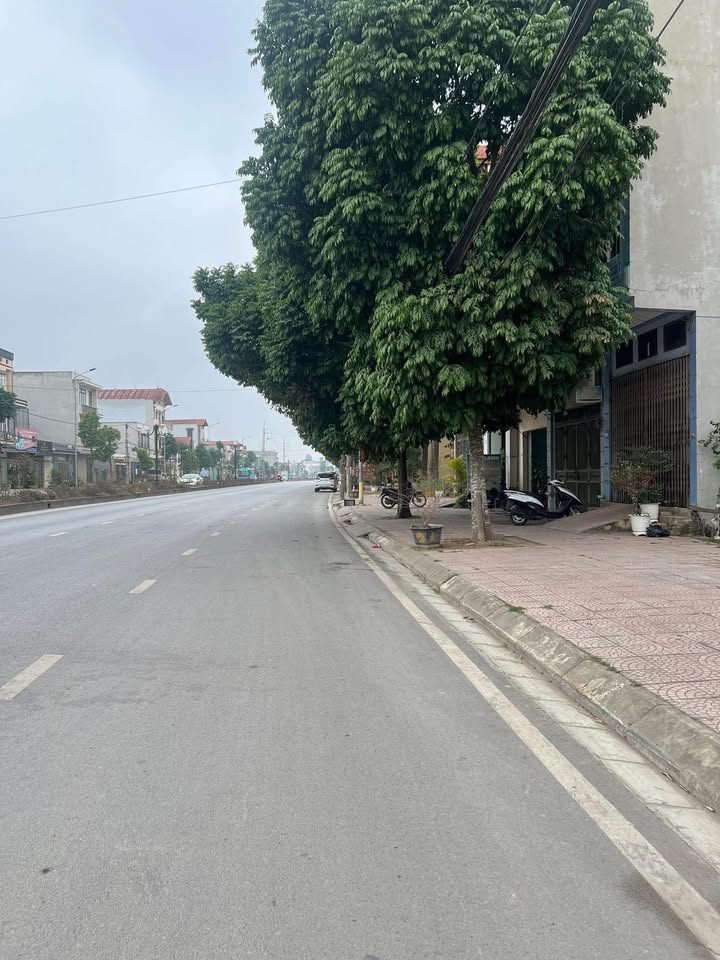 Nhà mặt phố Thanh Vị Sơn Tây 69m² - Kinh doanh đắc địa ngay trung tâm!