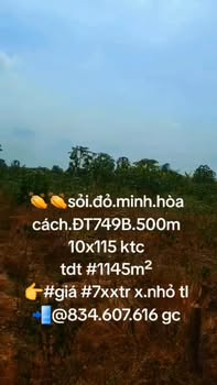 Đất nền Dầu Tiếng 1145m² giá 700 triệu - Đầu tư sinh lời ngay!