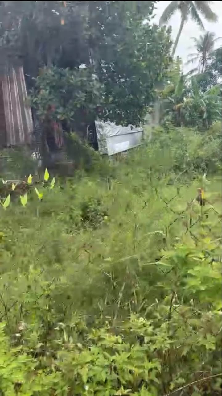 Đất nền Thôn Thanh Đông, Cẩm Thanh 100m² giá 2 tỷ - Cơ hội đầu tư hấp dẫn!