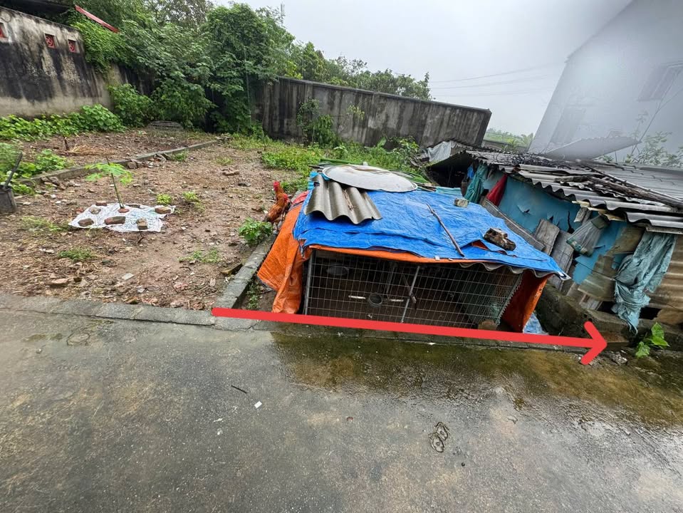 Đất nền Quất Động, Thường Tín 40m² giá 1 tỷ - Cơ hội đầu tư hiếm có!