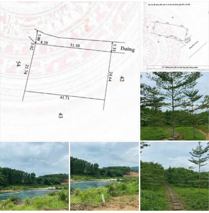 Đất nền view sông Hữu Trạch xã Bình Tiến 6420m² giá 5 tỷ - Cơ hội đầu tư lý tưởng!