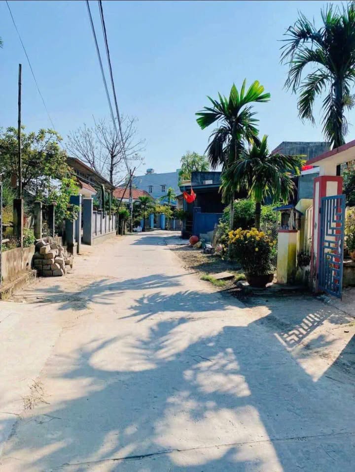 Đất nền Điện Phương 115m² giá 700 triệu - Vị trí đắc địa, dân cư đông đúc!