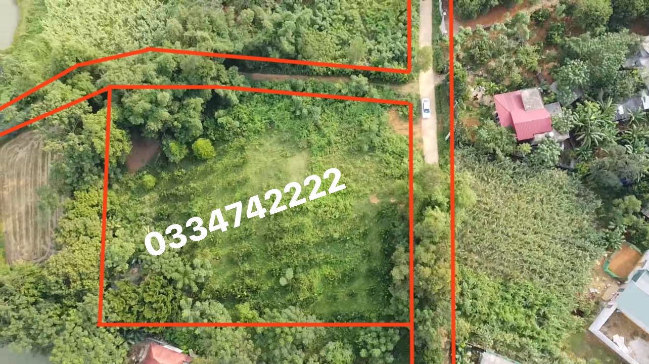 Đất nền mặt tiền Yên Nghiệp 800m² giá 800 triệu - Cơ hội đầu tư hiếm có!