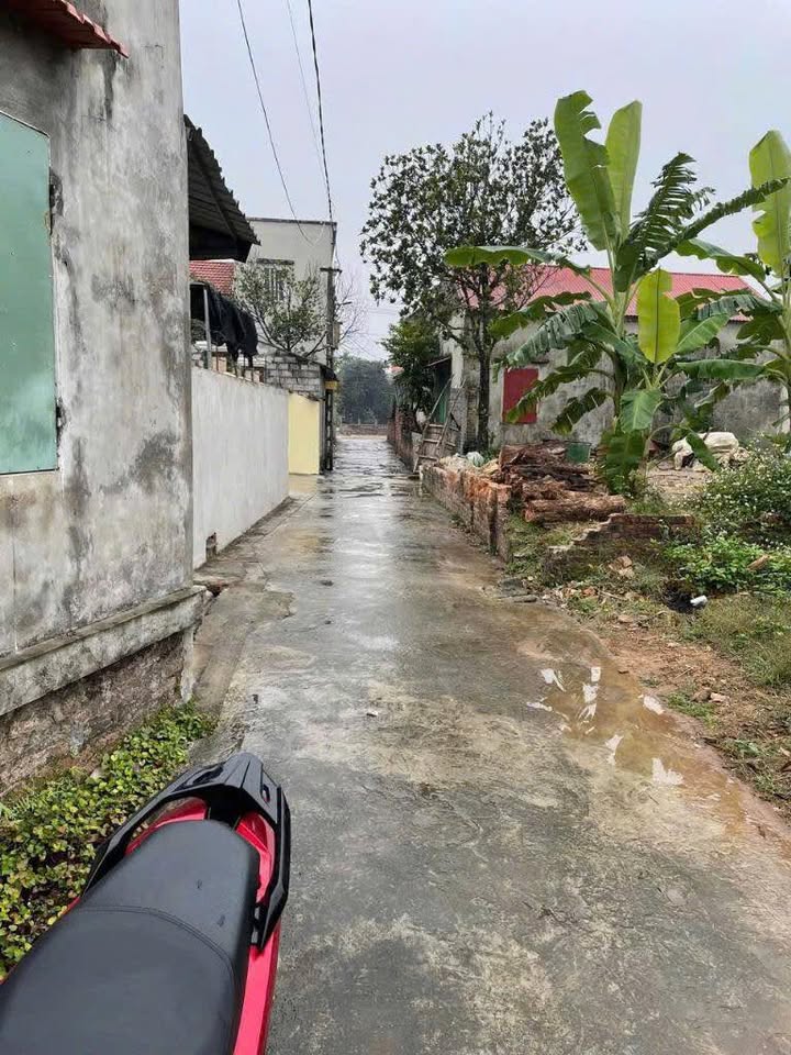 Đất nền 100m² tại Bình Giang - Giá chốt nhanh chỉ 9xx triệu!