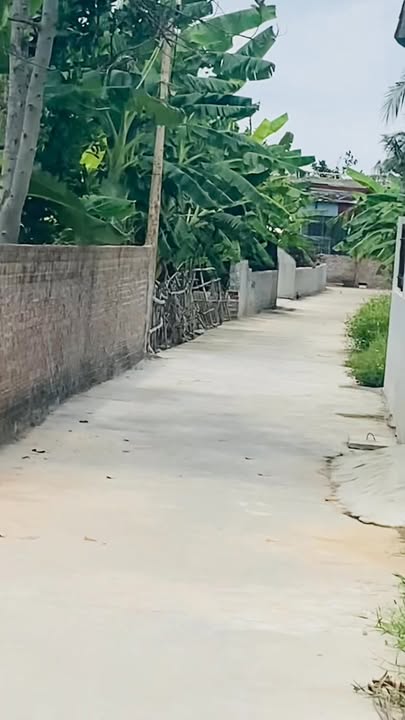 Đất nền xã Văn Tố, Tứ Kỳ 100m² giá 550 triệu - Sổ đỏ chính chủ, xây dựng ngay!