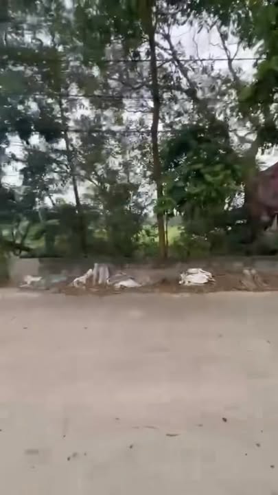 Đất nền Hiệp Hòa Bắc Giang 100m² - Chính chủ bán gấp!