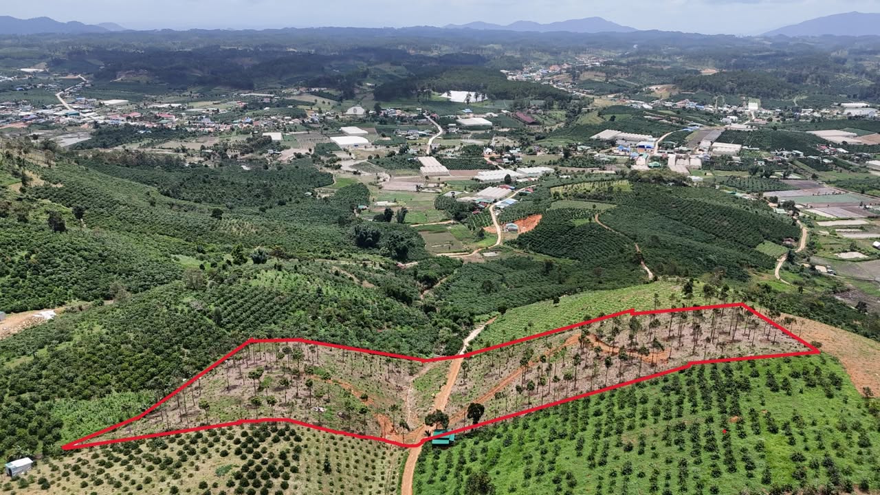 Đất thổ cư 10000m² tại Thôn Thanh Bình, Đam Rông chỉ 2.8 tỷ - Chính chủ bán gấp!