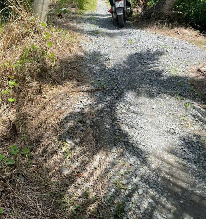 Đất vườn 1000m² tại Tân Quới Nội, Bến Tre - Giá chỉ 1 tỷ, sổ hồng chính chủ!