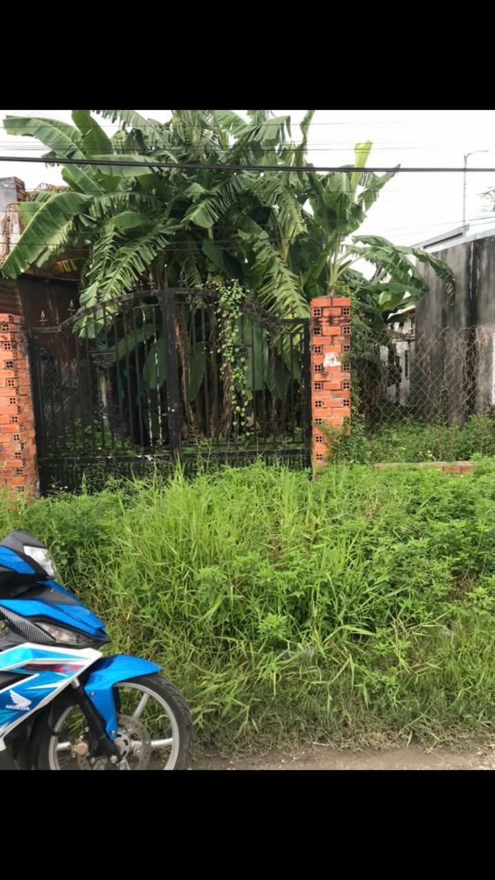 Đất nền Khu phố Hiệp Trường, Phường Hiệp Tân, 275m² - Giá chỉ 350 triệu!