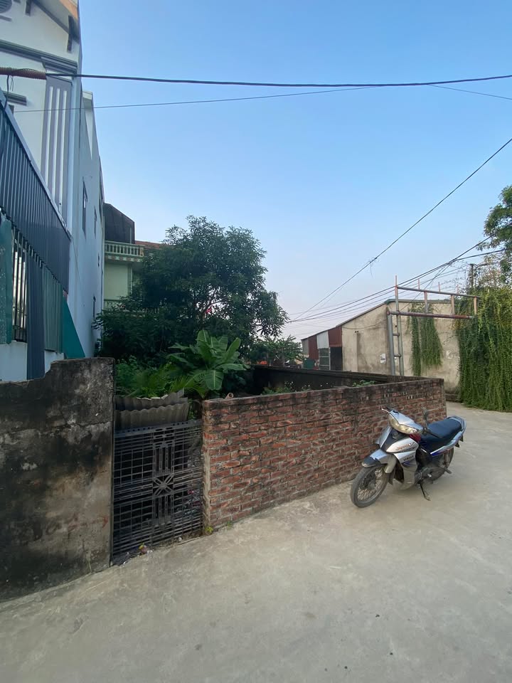 Đất nền Quất Động - Thường Tín 115m² giá 5.75 tỷ - Lô góc ô tô tránh, nở hậu!