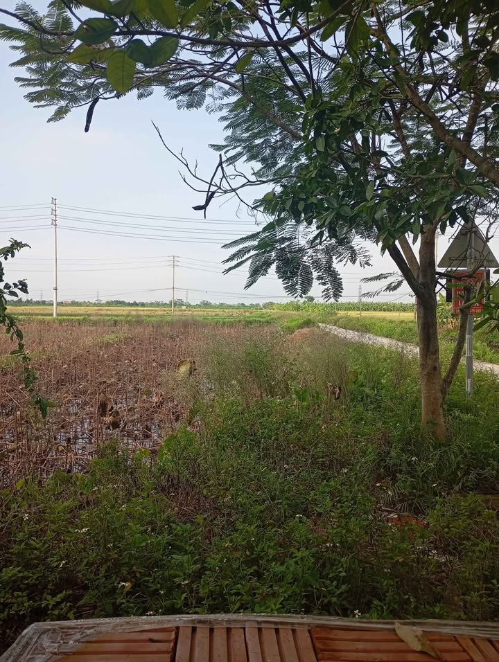 Đất nền Dự án Đồng Phúc, An Lễ, Quỳnh Phụ - 108m², Giá tốt đầu tư!