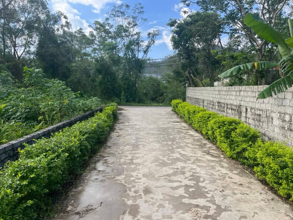 Đất nền Quỳnh Sơn, Quỳnh Lưu 672m² giá 2 tỷ - Cơ hội đầu tư hiếm có!