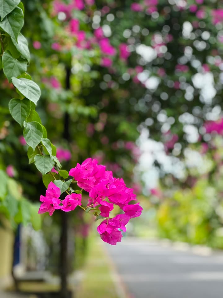 Đất nền lô góc 2 mặt tiền Hồ sinh thái Tân An 340m² giá 14 tỷ - Cơ hội đầu tư sinh lời cao!