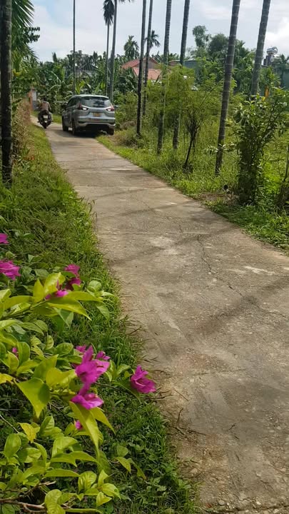 Đất nền Duy Phước 115m² giá 6 tỷ - Đường quy hoạch 9m, gần chợ!