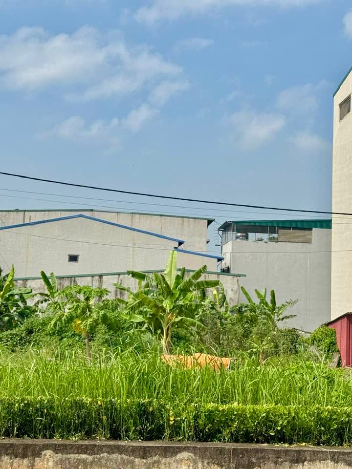 Đất mặt đường Lê Thái Tổ, Ninh Khánh 82.5m² giá 11 tỷ - Cơ hội đầu tư tuyệt vời!