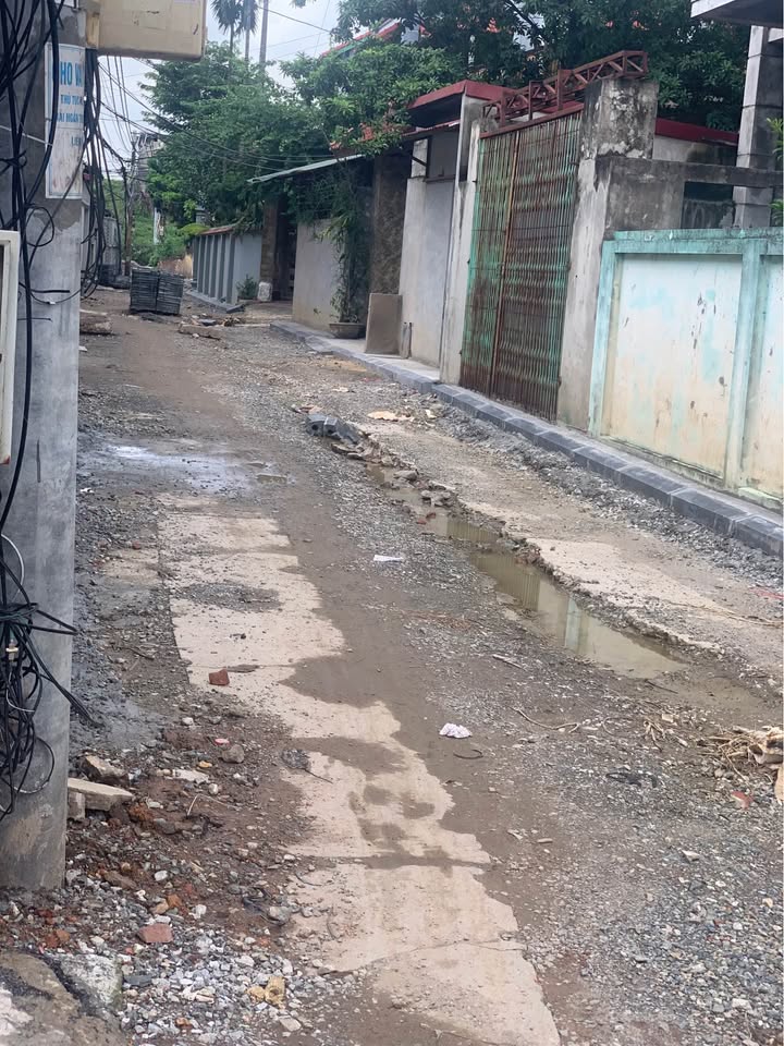 Đất nền Đại Mạch 120m² giá 9 tỷ - Chính chủ bán gấp, 3 mặt thoáng!