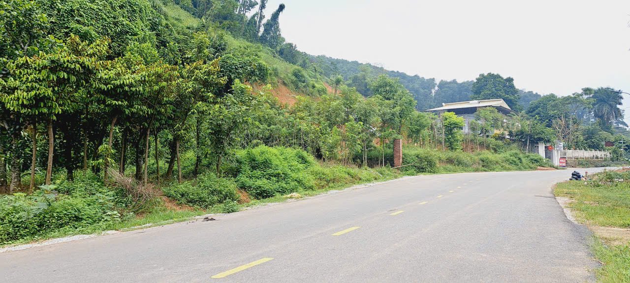 Đất nền 2220m² mặt đường nhựa Ao Vua - Đầu tư sinh lời ngay!