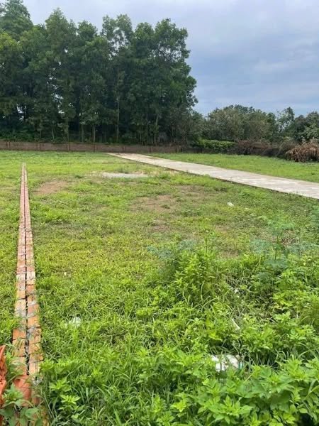 Đất nền Cẩm Lĩnh, Ba Vì 190m² - Lô góc 2 mặt tiền, đầu tư sinh lời!