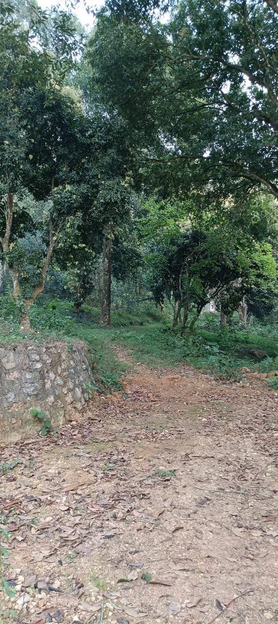 Bán lô đất nghỉ dưỡng 16.000m² tại Ba Vì - Cơ hội đầu tư tuyệt vời!