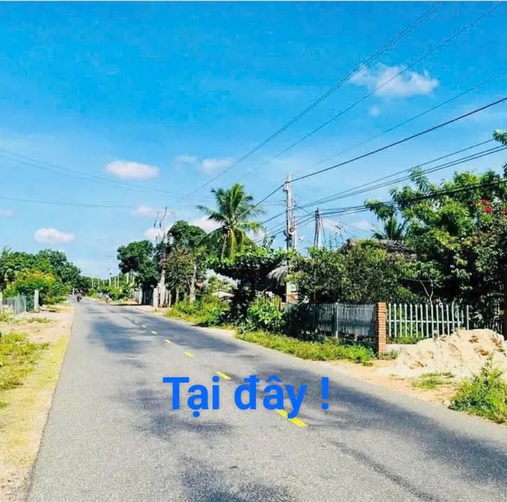 Đất thổ cư DT715 Bắc Bình 800m² giá 3.6 tỷ - Cơ hội đầu tư không thể bỏ qua!