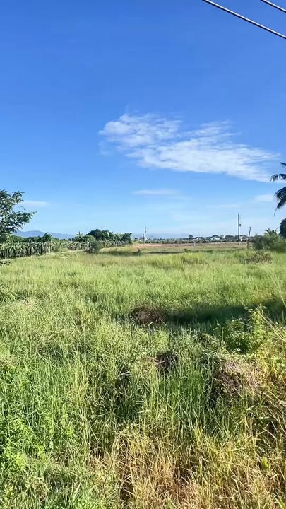 Đất vườn 1161m² 3 mặt tiền tại xã Hàm Mỹ, giá 1.4 tỷ - Cơ hội đầu tư lý tưởng!