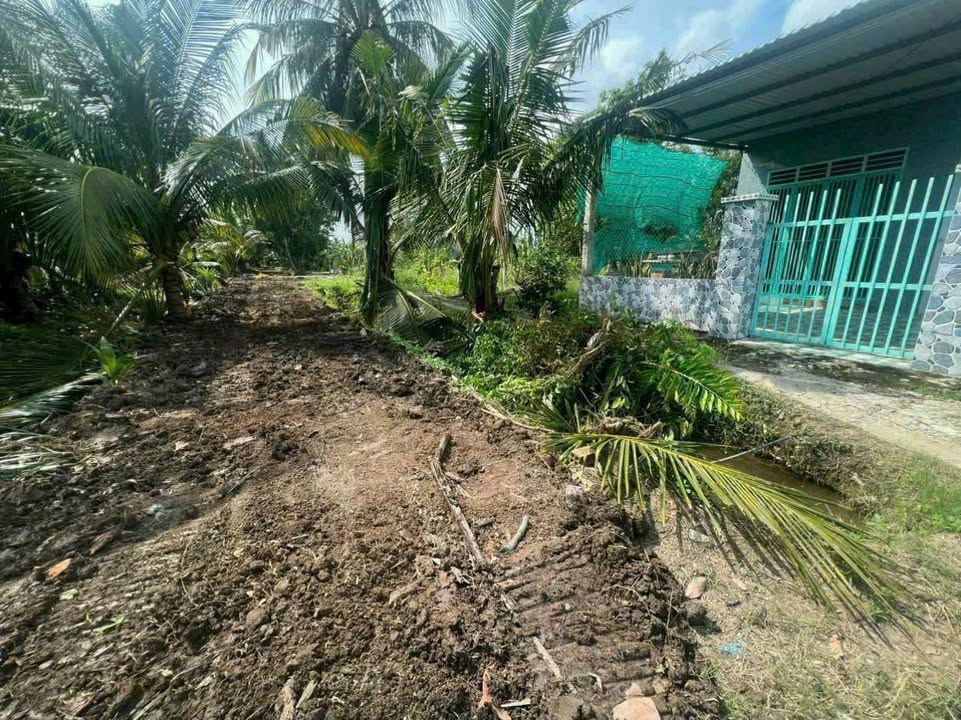 Nhà chính chủ bán xã Bình Đức, Bến Lức, Long An 168m² - Gần sông Vàm Cỏ Đông!