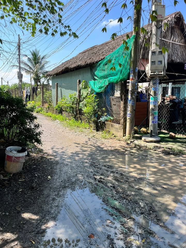 Đất thổ cư Lục Viên 150m² giá 1 tỷ - Sổ hồng riêng, vị trí đắc địa!