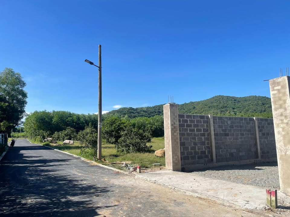 Đất nền Tam Phước, Long Điền 800m² giá 2.5 tỷ - Đầu tư sinh lời ngay!