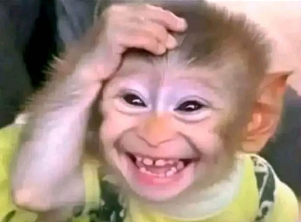 Nhà cấp 4 mặt đường Thiên Lôi Hải Phòng 50m² giá 6.4 tỷ - Pháp lý rõ ràng!