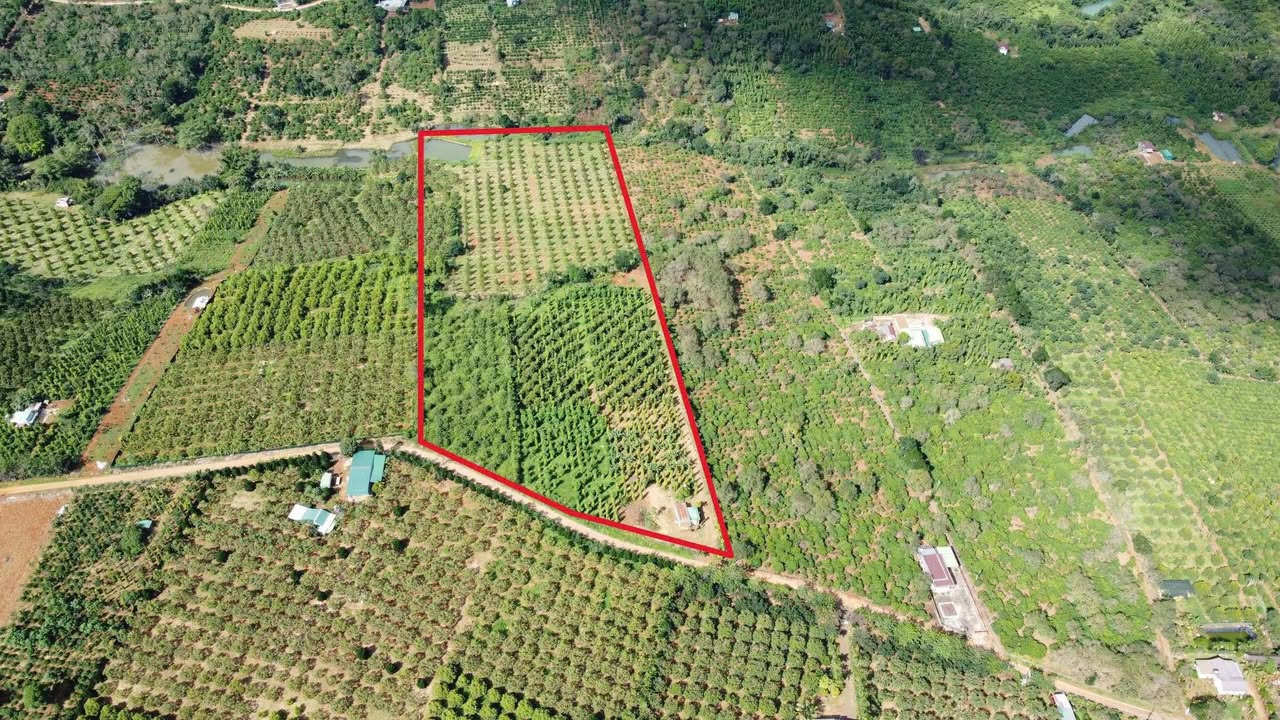 Đất nông nghiệp 2.8ha tại Đắk Nông giá 2.8 tỷ - Tiềm năng đầu tư lớn!