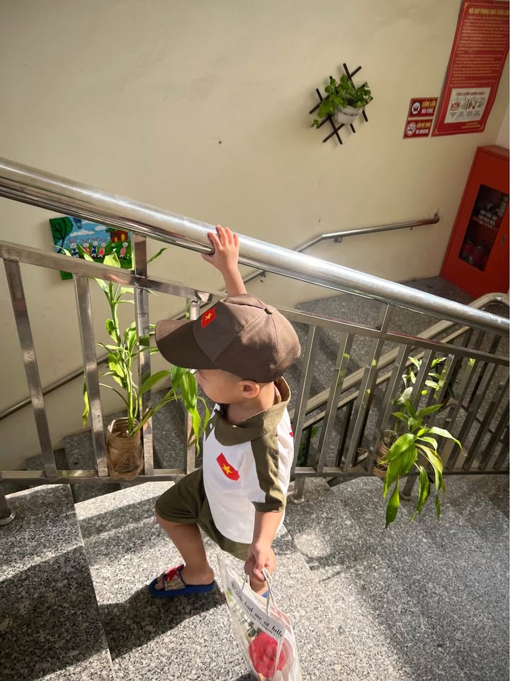 Đất mặt tiền đường Trần Quang Khải Ninh Bình 108m² giá 5 tỷ - Vị trí kinh doanh đắc địa!