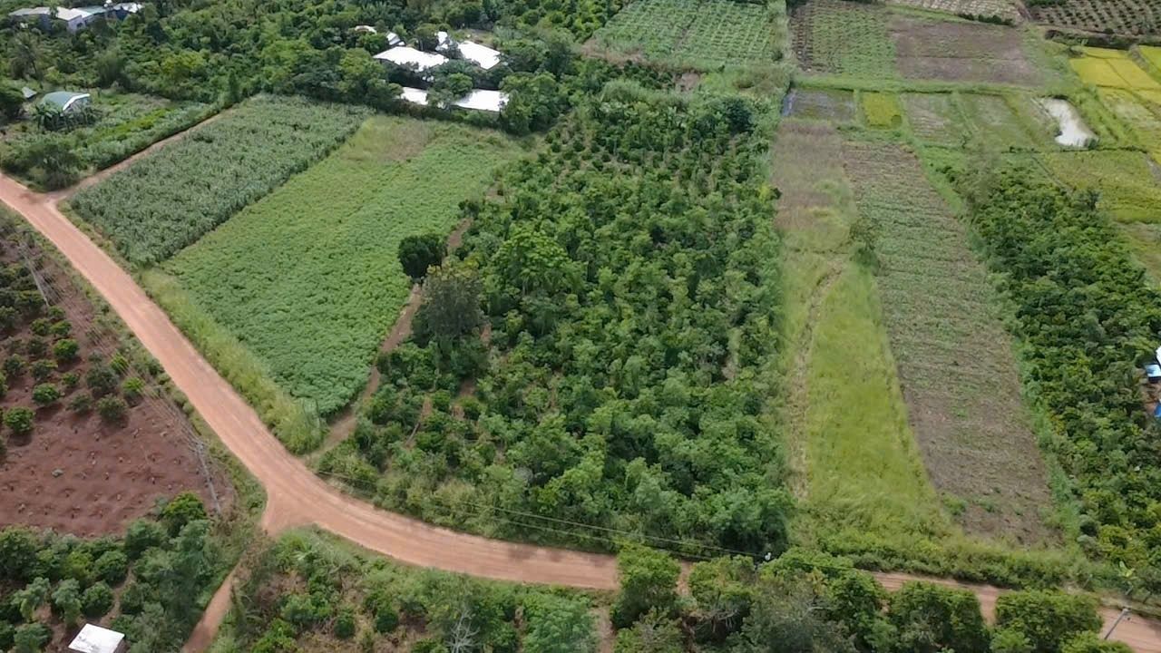 Đất Farm 21,600m² tại Cư Huê, Đắk Lắk - Mặt tiền đường 45m, giá thỏa thuận!