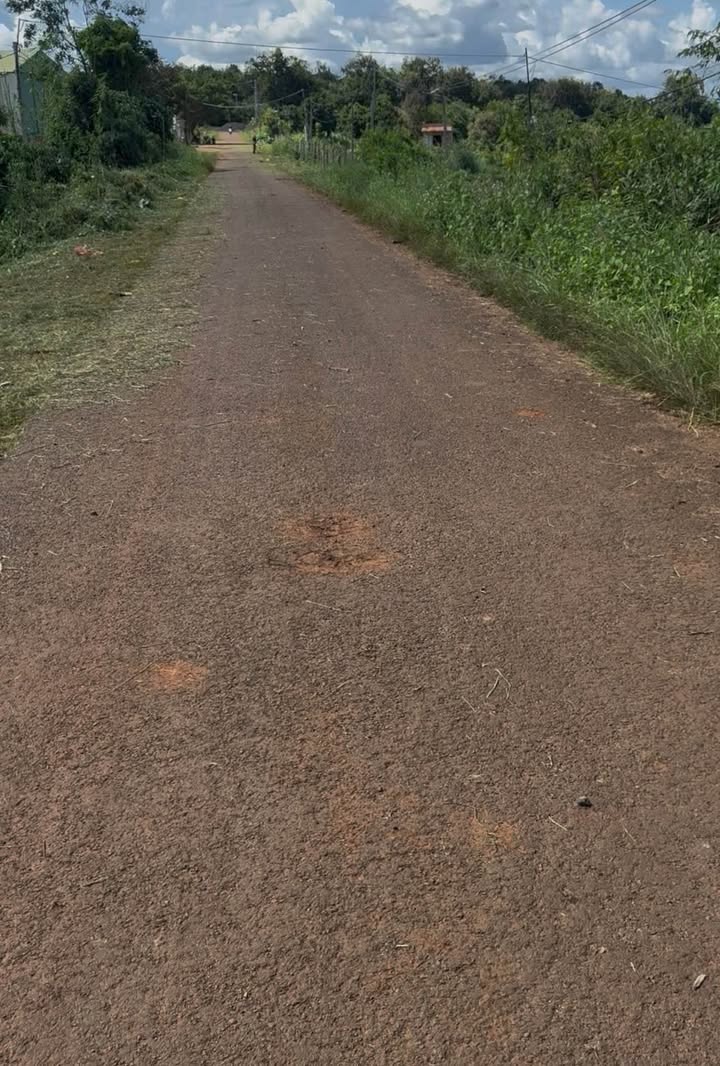 Đất nền Cư Pơng, Krông Búk 125m² giá 6.25 tỷ - Đầu tư tiềm năng sinh lời!