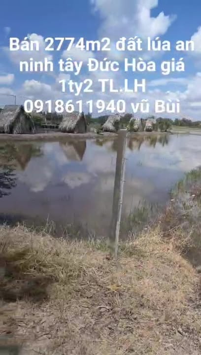 Đất nền An Ninh Tây Đức Hòa 2774m² giá 1.2 tỷ - Chính chủ bán gấp!