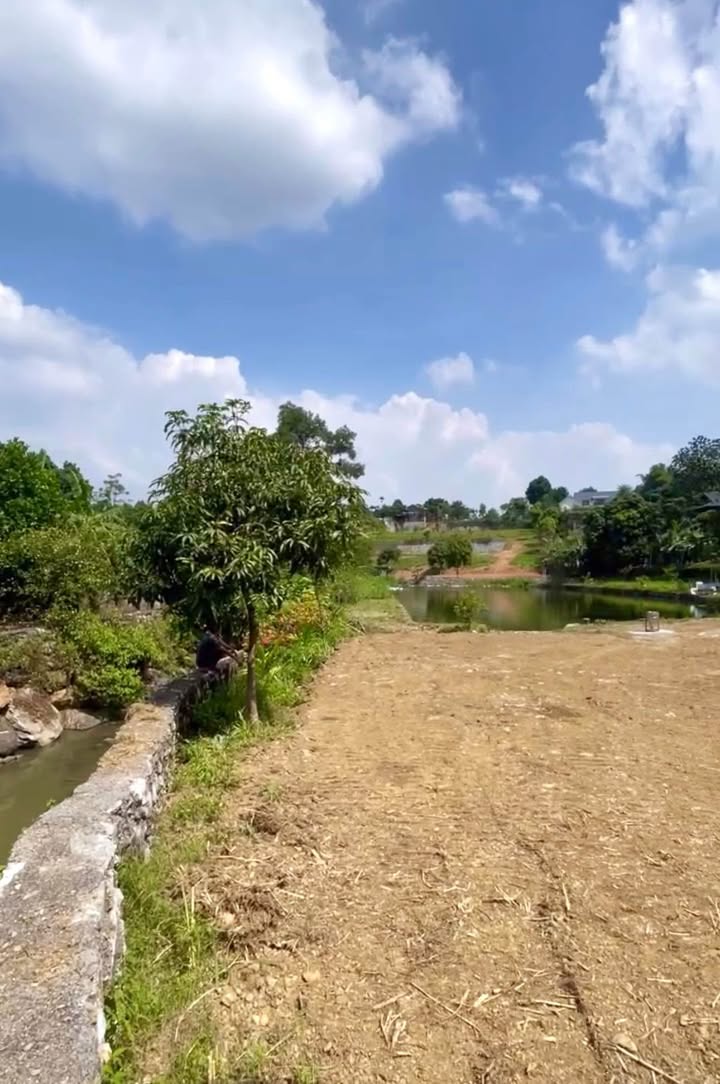 Lô đất mặt suối 6517m² tại Cư Yên - Nghỉ dưỡng lý tưởng chỉ 6.5 tỷ!