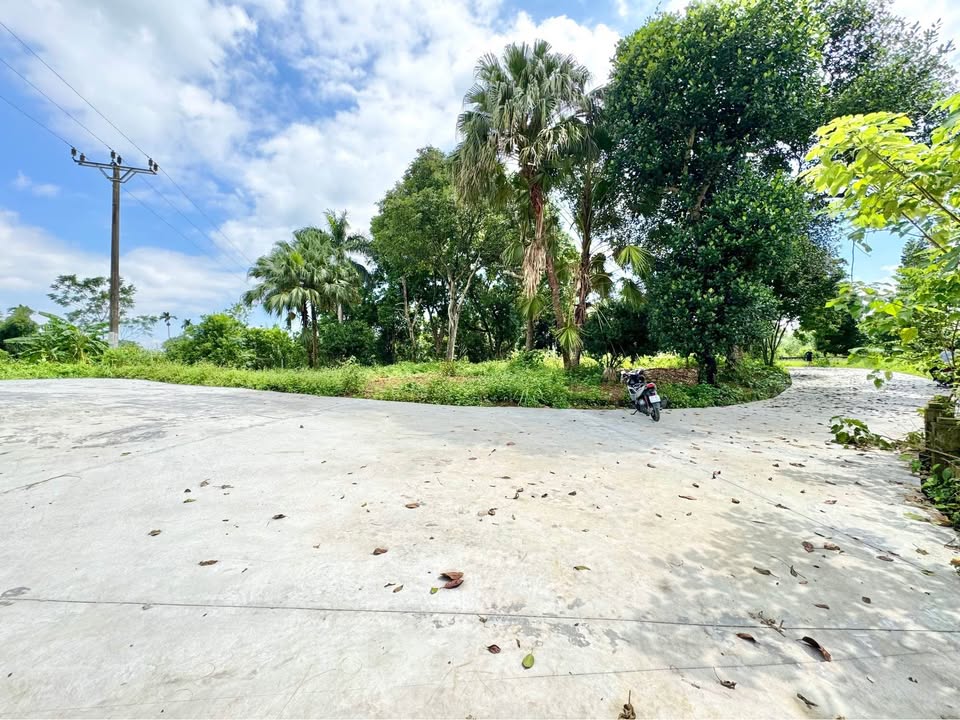 Lô đất Cư Yên, Lương Sơn 1148m² giá thỏa thuận - View thoáng đẹp, gần Hà Nội!