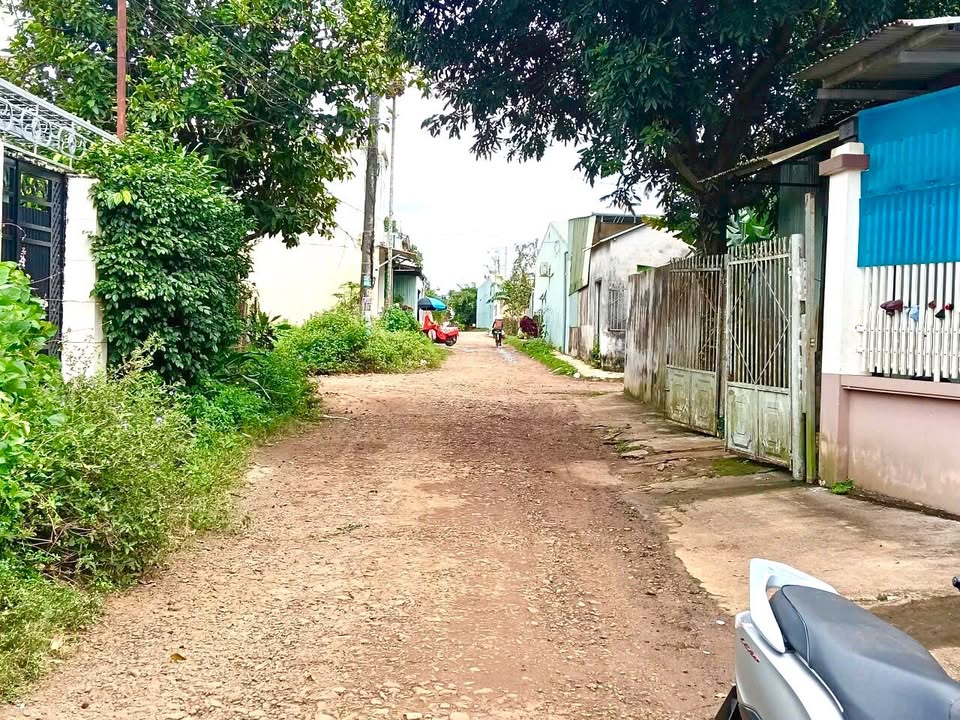 Đất thổ cư chính chủ tại hẻm Mai Thúc Loan, Pleiku 168m² - Giá chỉ 1.55 tỷ!