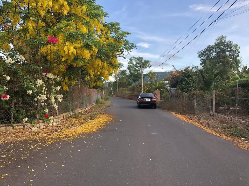 Lô đất nghỉ dưỡng Long Mỹ 250m² giá 2.4 tỷ - Đầu tư sinh lời gần biển!