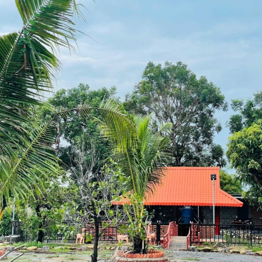 Đất nền Phước Hải 1861m² giá 6 tỷ - Gần biển và nghỉ dưỡng tuyệt vời!