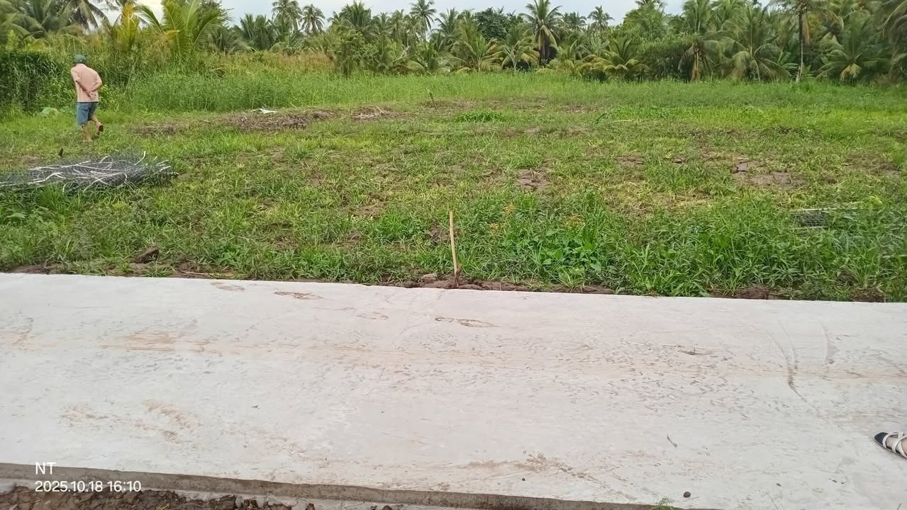 Đất nền Tân Long Hội, Vĩnh Long 900m² giá 300 triệu - Cơ hội đầu tư hấp dẫn!