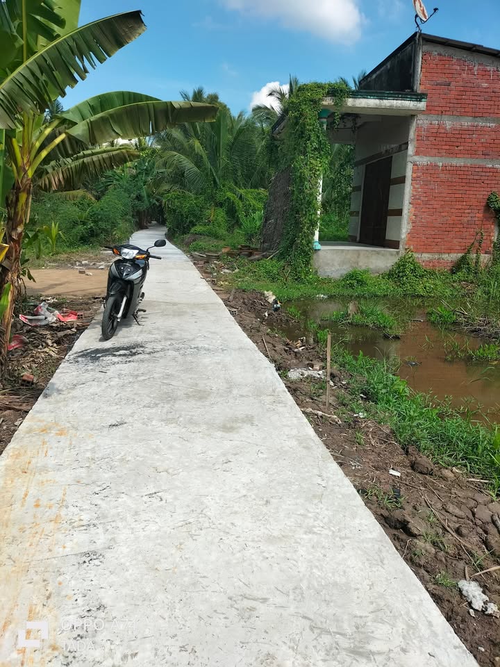 Đất nền Tân Long Hội 906m² giá 300 triệu - Đầu tư sinh lời ngay!