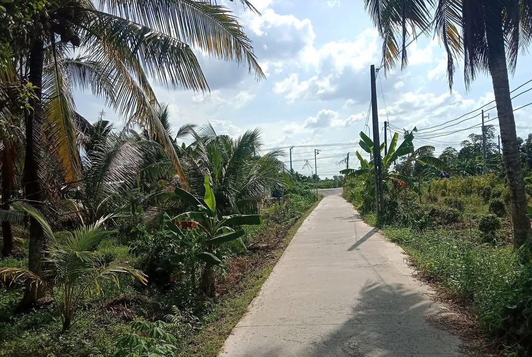 Đất nền An Phước 154m² giá 180 triệu - Sổ đỏ chính chủ, đầu tư sinh lời!