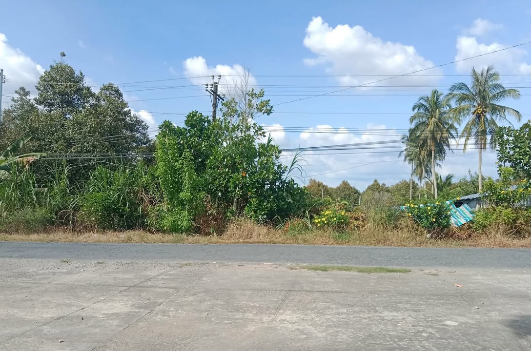 Đất nền xã Cái Nhum 2368m² giá 2.368 tỷ - Sổ đỏ chính chủ, mặt tiền đường rộng!