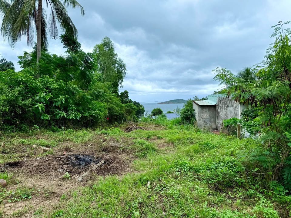 Đất nền Ghềnh Ráng, Quy Nhơn 500m² - Giá rẻ, view biển đẹp!