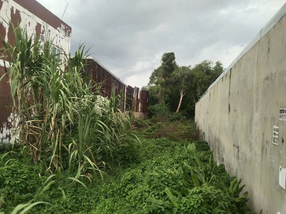 Đất thổ cư Vĩnh Lộc A, Bình Chánh 270m² giá 8.5 tỷ - Sổ hồng chính chủ, thương lượng tốt!