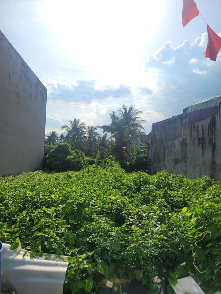 Đất nền Hẻm 280 Lò Lu Quận 9, 291m² giá 14 tỷ - Pháp lý rõ ràng, vị trí đẹp!