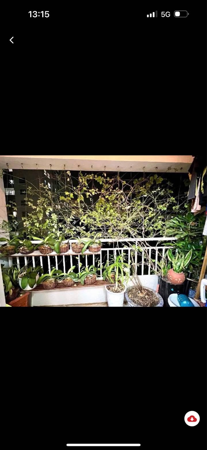 Căn hộ khu đô thị Việt Hưng Long Biên 76m² giá thỏa thuận - Sẵn sàng vào ở ngay!